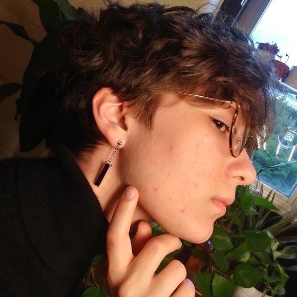 Hematite Prism Earrings - Picture 4 of 4